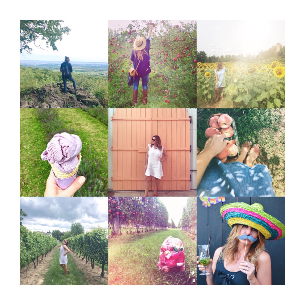 Pumpkin Spice and Everything Nice – Tales of a Basic&nbsp;Bitch